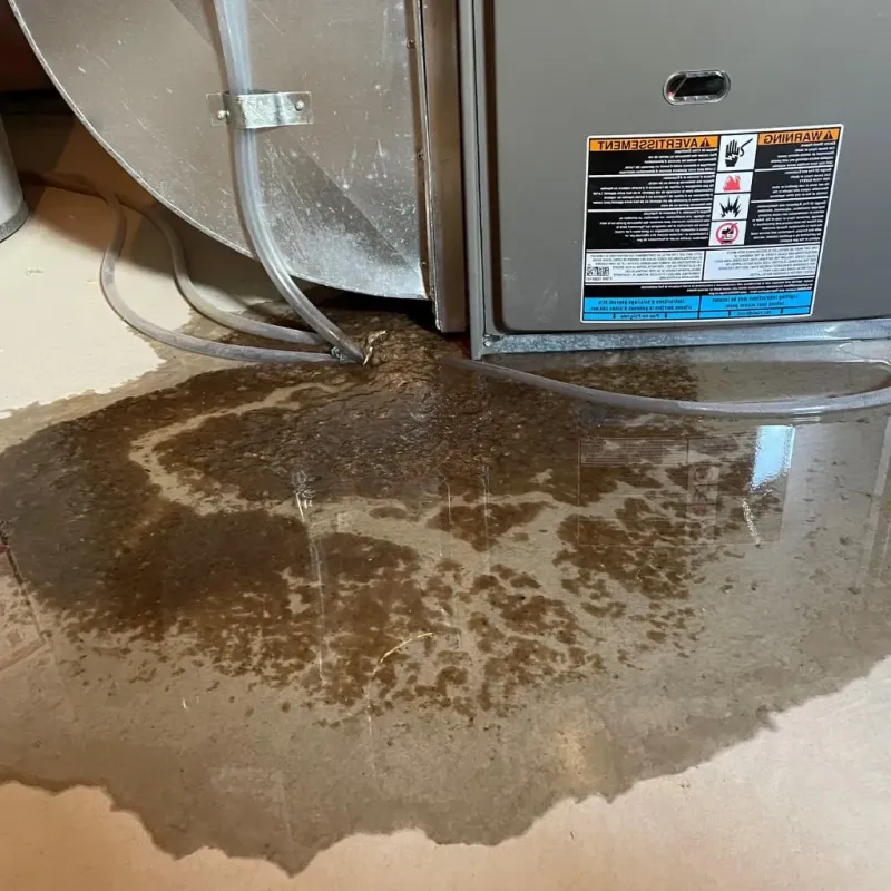 Pipe Burst and Leak Restoration in Keeler Farm, NM